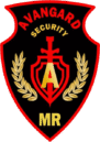 avangardsecurity.am